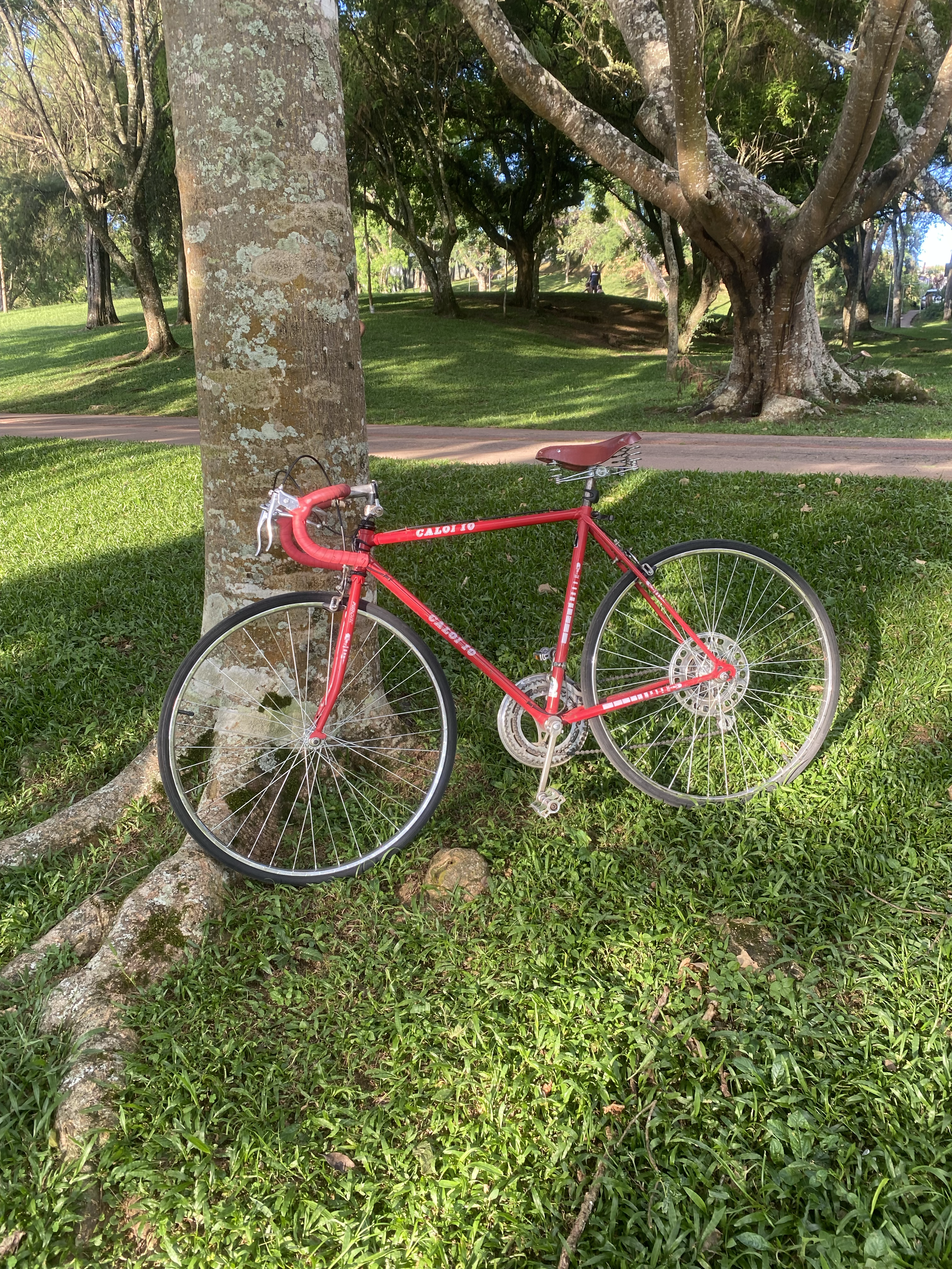 A red vintage bike against a tree